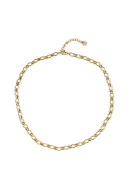 Ketting schakels rond goud - Rose &amp; Camellia