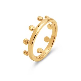 Friends Unite ring Flora goud FR79 - Melano