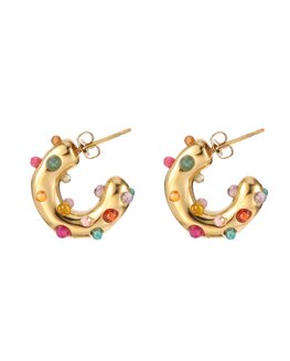 Oorbellen hoops met gekleurde steentjes goud - Rose&amp;Camellia
