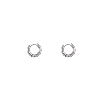 Oorbellen E3984-1 oval hoop 3x10 mm zilver - Day&amp;Eve 