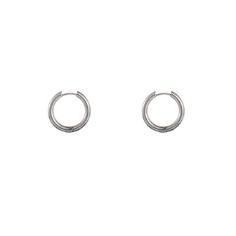 Oorbellen E3987-1 oval hoop 3x16 mm zilver - Day&amp;Eve 