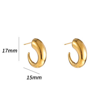 Oorbellen E5327-2 classic hoop goud - Day&amp;Eve