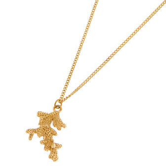 Ketting K.SK.198.1 Coral goud - Label Kiki