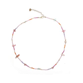 Ketting Colorful goud - Rose &amp; Camellia