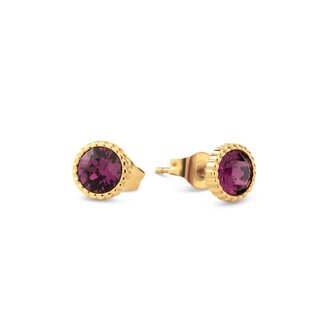 Oorbellen Hannah CZ Amethyst FE43 goud - Melano