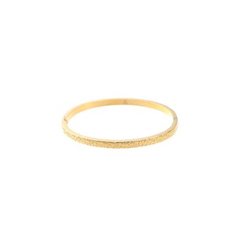 Armband bangle B56022-2 Leopard goud - Day&amp;Eve