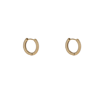 Oorbellen E56089-2 Propeller hoop goud - Day&amp;Eve