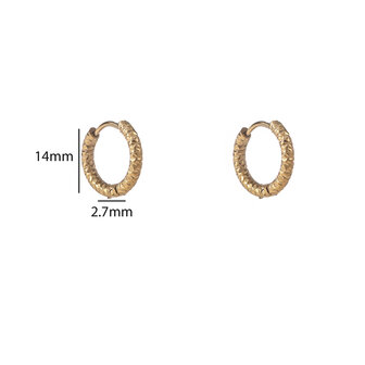 Oorbellen E56085-2 Hammered hoop goud - Day&amp;Eve