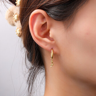 Oorbellen E56102-2 Rose hoop goud - Day&amp;Eve