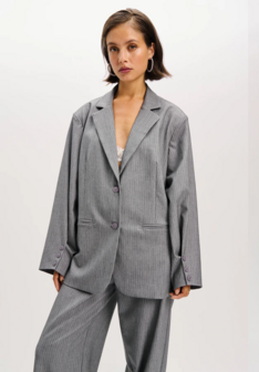 Blazer Mikky grijs - Refined Department