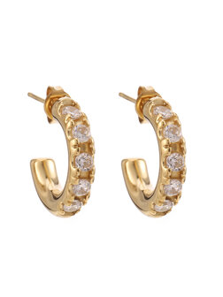 Oorbellen kleine hoops steentjes goud - Rose &amp; Camellia