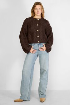 Vest gebreid met gouden knopen - bruin