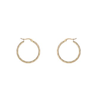 Oorbellen E4290-3-2 Basic gedraaide hoops klein goud - Day&amp;Eve 
