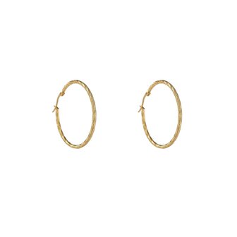 Oorbellen E4290-4-2 Basic gedraaide hoops middel goud - Day&amp;Eve 