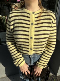 Gebreid Dames Vest met Strepen &ndash; Geel/Bruin