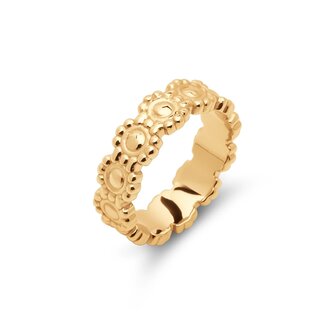 Friends ring Sarai goud FR69 - Melano