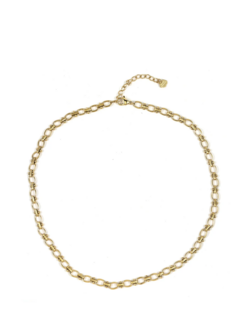 Ketting schakels rond goud - Rose &amp; Camellia