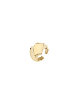 Ring draaiend goud - Rose &amp; Camellia
