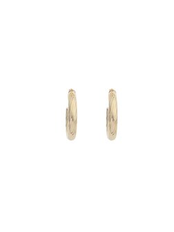 Oorbellen hoops klein gedraaid goud - Rose&amp;Camellia