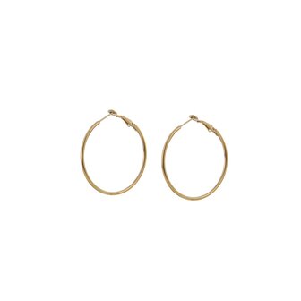 Oorbellen E0412-5-2 Basic hoops middel goud - Day&amp;Eve 