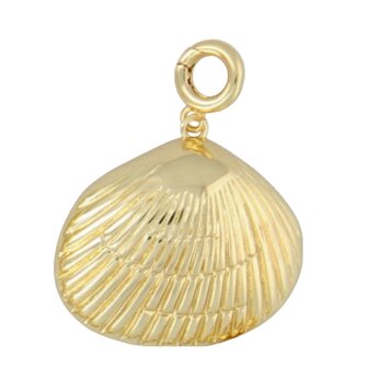 Bedel clip grote schelp 8268-1 goud - Fushi