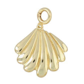 Bedel clip grote gestreepte schelp 8268-3 goud - Fushi