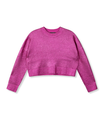 Trui/sweater cropped metallic May fuchsia - Refined Department