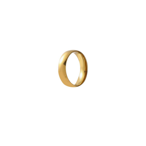 Ring voor sjaaltjes R501-2 - Day&Eve