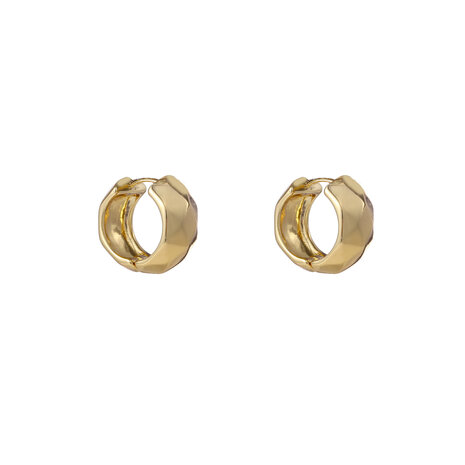 Oorbellen E55060-2 Small facet ring goud - Day&Eve