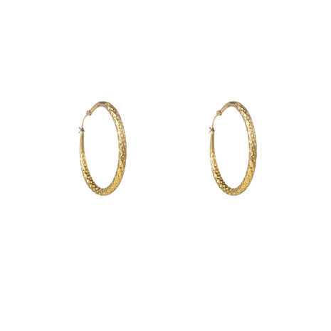 Oorbellen E56233-2 Hammered hollow hoop goud - Day&Eve
