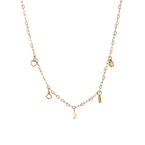 Ketting N56034-2 Schattige hangertjes goud - ​​​​​​​Day&Eve