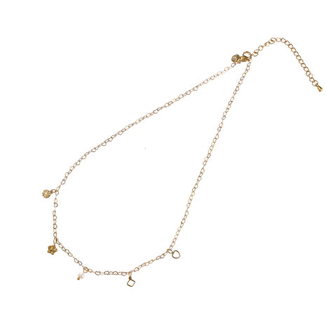 Ketting N56034-2 Schattige hangertjes goud - ​​​​​​​Day&Eve