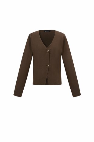 Vest asymmetrisch bruin 