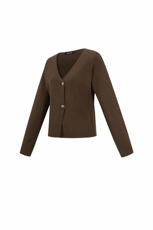 Vest asymmetrisch bruin 