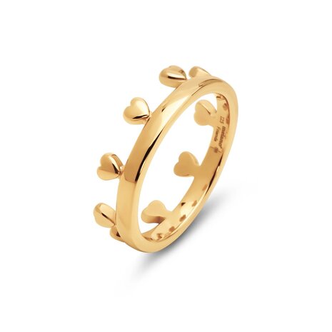 Friends Unite ring Reina goud FR78 - Melano