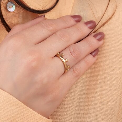 Friends Unite ring Reina goud FR78 - Melano