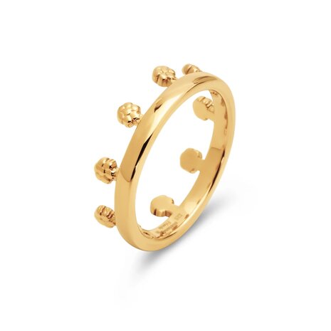 Friends Unite ring Flora goud FR79 - Melano