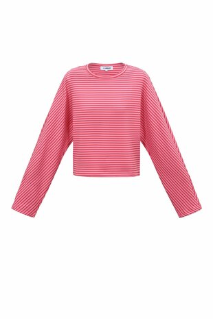 Longsleeve top gestreept rood roze