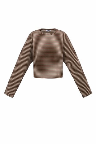 Longsleeve top gestreept bruin beige