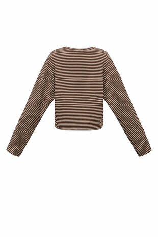 Longsleeve top gestreept bruin beige
