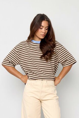 T-shirt gestreept bruin blauw