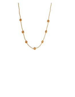 Ketting N2342-7 seven flowers amber goud - Day&Eve