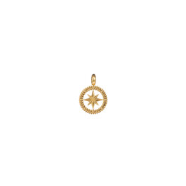 Bedel compass pendant tbv ketting goud Bedel compass pendant tbv ketting goud