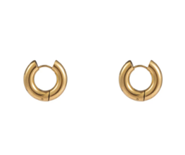 Oorbellen E3993-2 hoop 5x10 mm goud - Day&Eve Oorbellen E3993-2 hoop 5x10 mm goud - Day&Eve