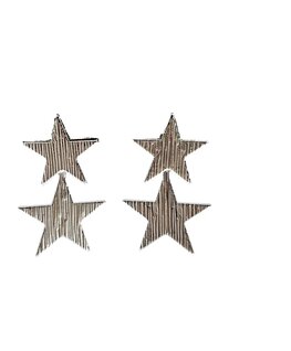 Oorbellen E3085-1 2 stars zilver - Day&Eve Oorbellen E3085-1 2 stars zilver - Day&Eve