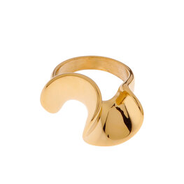 Ring K.R.048.7 Curl goud - Label Kiki