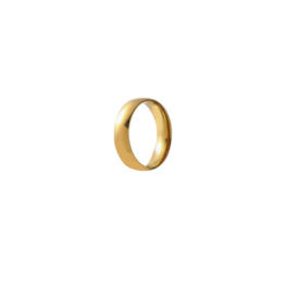 Ring voor sjaaltjes R501-2 - Day&Eve Ring voor sjaaltjes R501-2 - Day&Eve