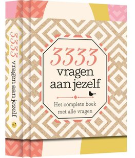 Boek 3333 vragen aan jezelf