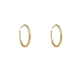 Oorbellen E56233-2 Hammered holle hoop goud - Day&Eve Oorbellen E56233-2 Hammered holle hoop goud - Day&Eve